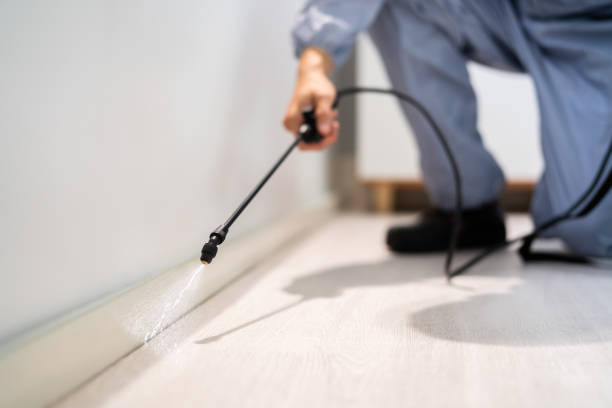 Licensed Fumigation Services service in Blawnox, PA - Nex Pest Control